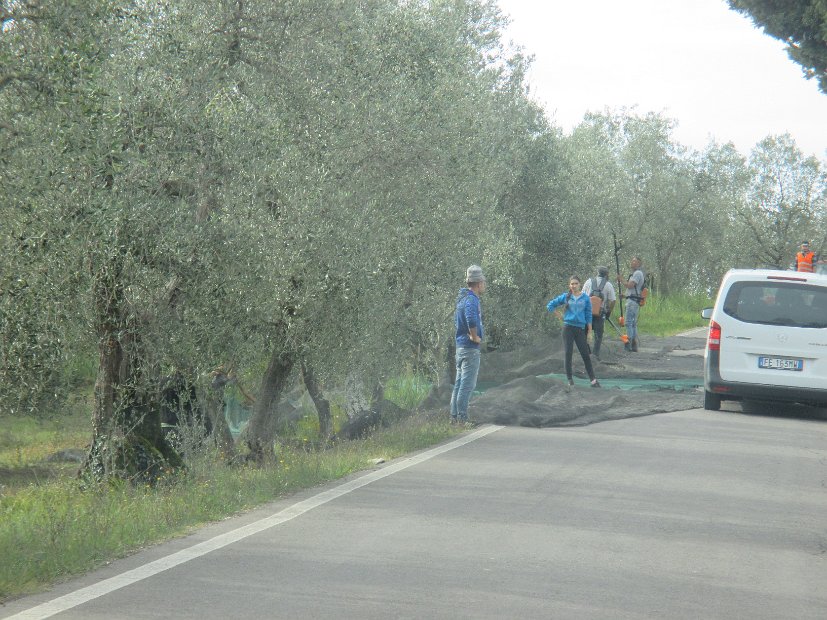 Chianti-1 2016 - 094